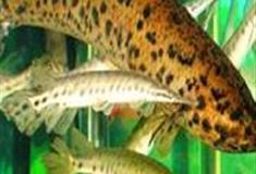 广州海洋馆：热带雨林