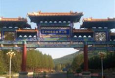 承德塞罕坝国家森林公园怎么玩？附游玩路线