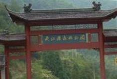 金华灵江源森林公园怎么玩？附游玩路线