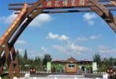 萍乡荷花博览园怎么玩？附游玩路线