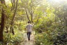 温州前岩山古道怎么玩？附游玩路线