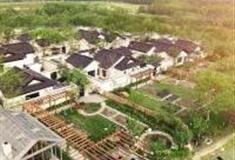 上海多利农庄怎么玩？附游玩路线