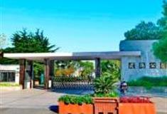 上海滨海公园怎么玩？附游玩路线