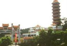 佛山三水博物馆怎么玩？附游玩路线