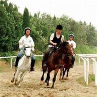 仙女山旅游度假区跑马场、遛马场 仙女山旅游度假区跑马场、遛马场