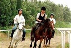 仙女山旅游度假区：跑马场、遛马场