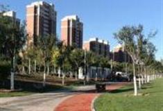 天津张家窝中心公园怎么玩？附游玩路线