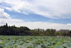 衡阳南湖公园怎么玩？附游玩路线