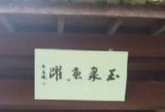 杭州西湖风景名胜区：玉泉鱼跃