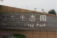 上海高东生态园怎么玩？附游玩路线