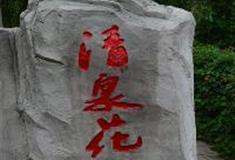 东温泉：清泉花谷