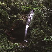 伏羲山神仙洞19511