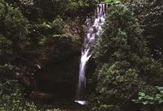 伏羲山神仙洞：神泉瀑布