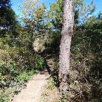 拉市海湿地公园19309