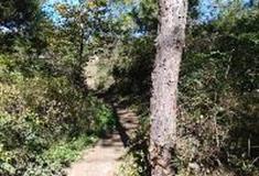 拉市海湿地公园：野花谷