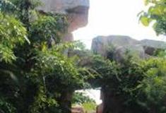 三亚兰花世界怎么玩？附游玩路线