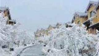 重庆南天湖景区怎么玩？附游玩路线