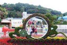 东莞清溪大王山森林公园怎么玩？附游玩路线