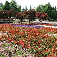 杭州西湖风景名胜区18596