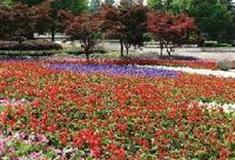 杭州西湖风景名胜区：杭州花圃