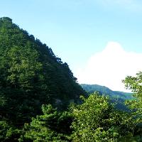 万佛山风景区17558