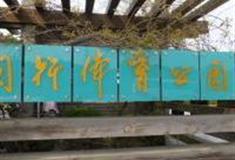 上海闵行体育公园怎么玩？附游玩路线