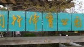 上海闵行体育公园怎么玩？附游玩路线