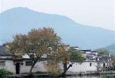 金华礼张村怎么玩？附游玩路线