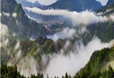 温州玉苍山森林公园怎么玩？附游玩路线