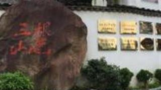 丽水三山根博园怎么玩？附游玩路线