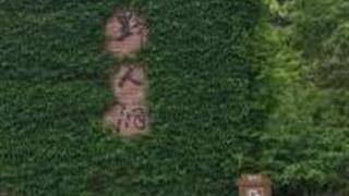 台州野人洞景区怎么玩？附游玩路线