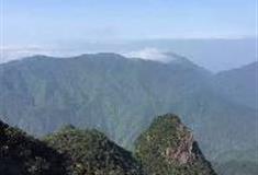 广东第一峰旅游风景区：广东第一猿